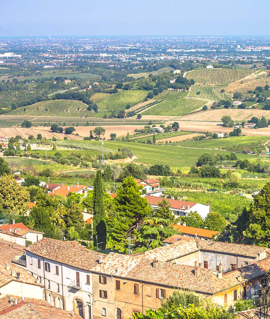 Bertinoro